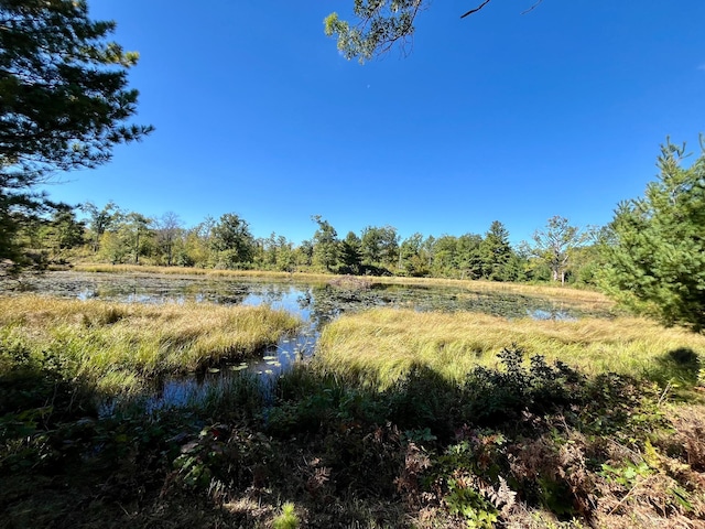 view of local wilderness with a water view