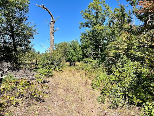 view of landscape