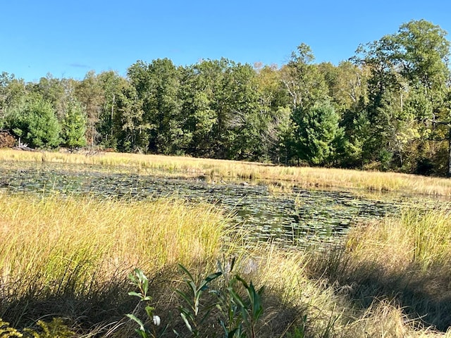 view of nature