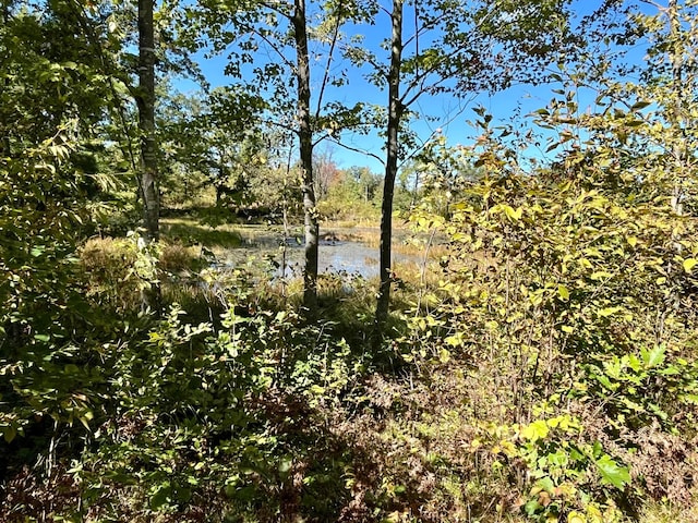 view of local wilderness with a water view