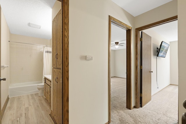 hallway with a textured ceiling and light hardwood / wood-style floors