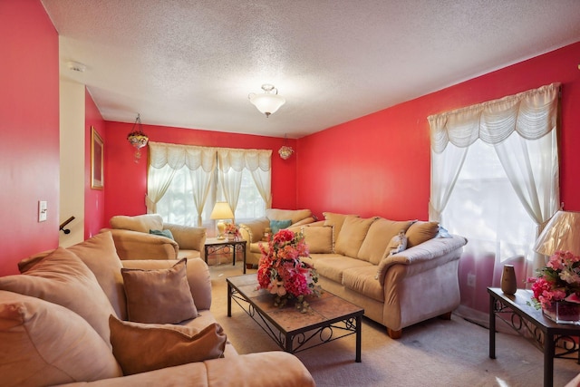 living room with carpet floors and a textured ceiling