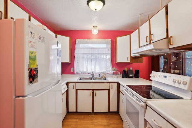 kitchen featuring sink, white appliances, light hardwood / wood-style flooring, white cabinetry, and a textured ceiling