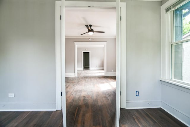 hallway featuring dark hardwood / wood-style floors and crown molding