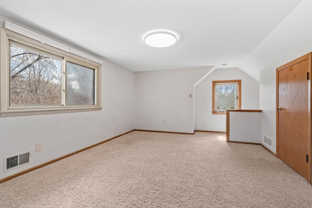 8011 Long Lake Rd, Mounds View, MN 55112 - bonus room featuring light carpet and lofted ceiling