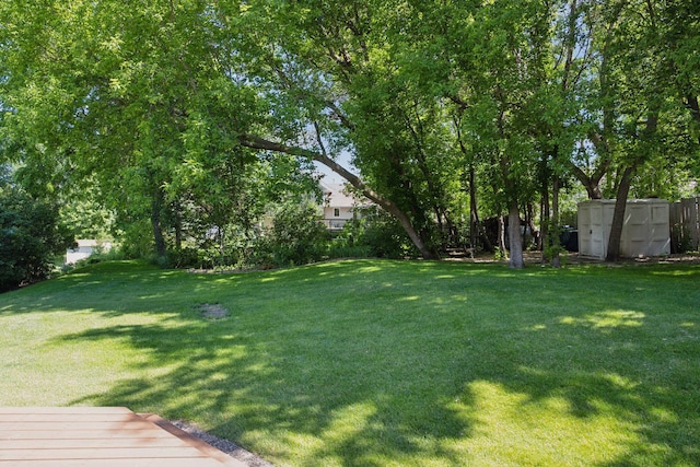 view of yard featuring a storage unit