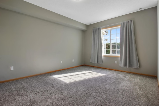 unfurnished room featuring carpet