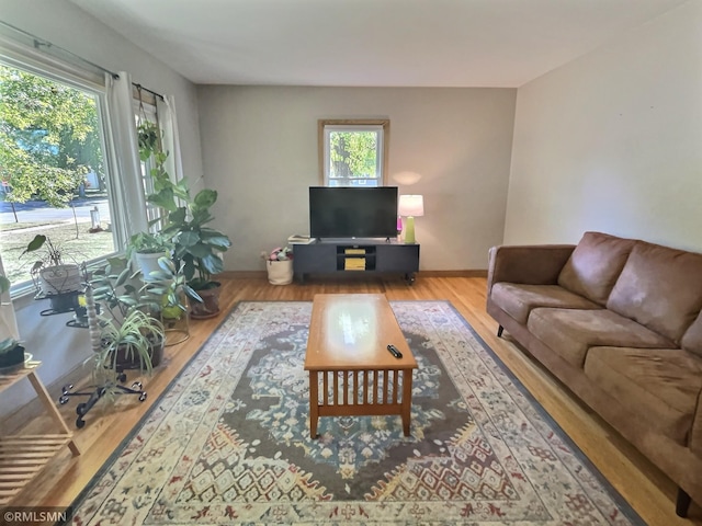 living room with light hardwood / wood-style floors