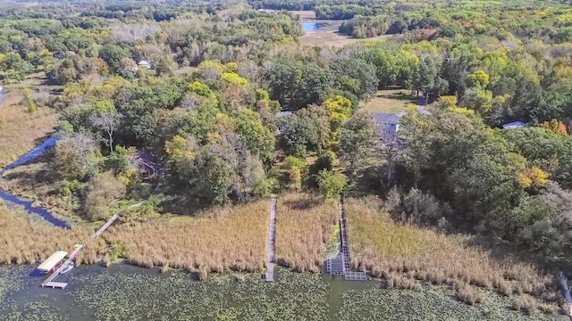 aerial view with a wooded view