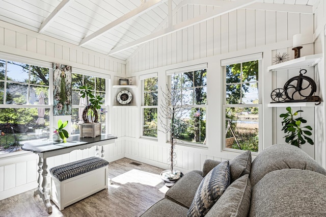 28342 Tiger St NW, Zimmerman, MN 55398 - sunroom / solarium with wood finished floors and plenty of natural light