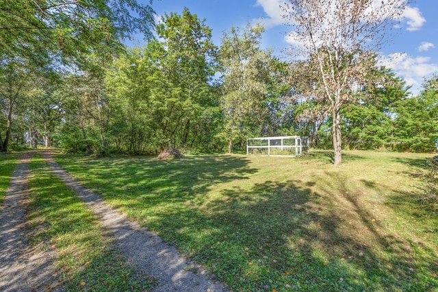 28342 Tiger St NW, Zimmerman, MN 55398 - view of grassy yard with a wooded view