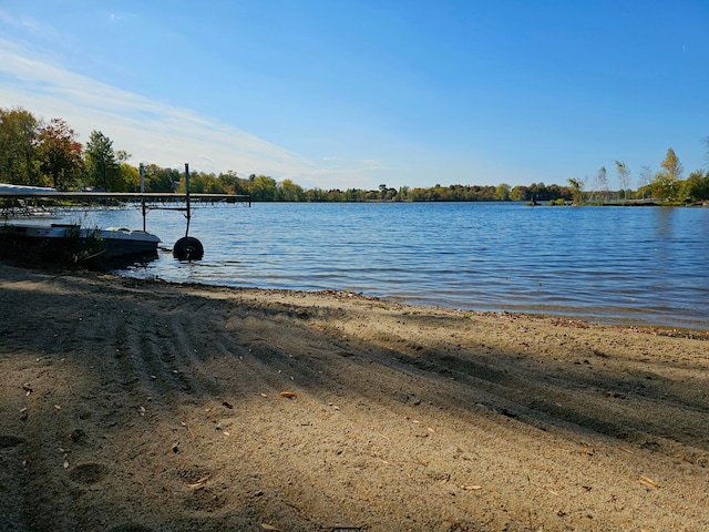 water view featuring a boat dock