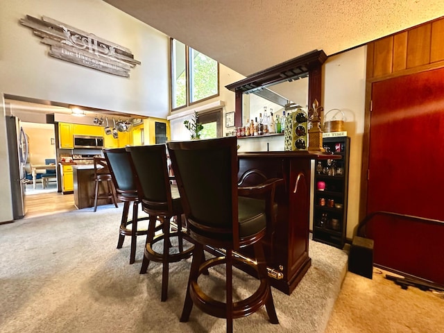 bar with a textured ceiling, light carpet, and stainless steel appliances