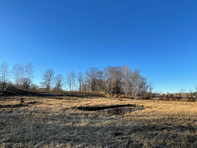 view of local wilderness with a rural view