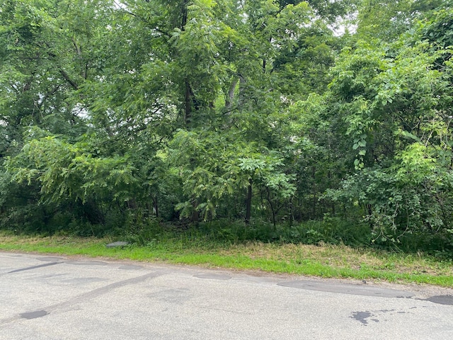 13XX 3rd St, Saint Paul Park MN, 55071 land for sale