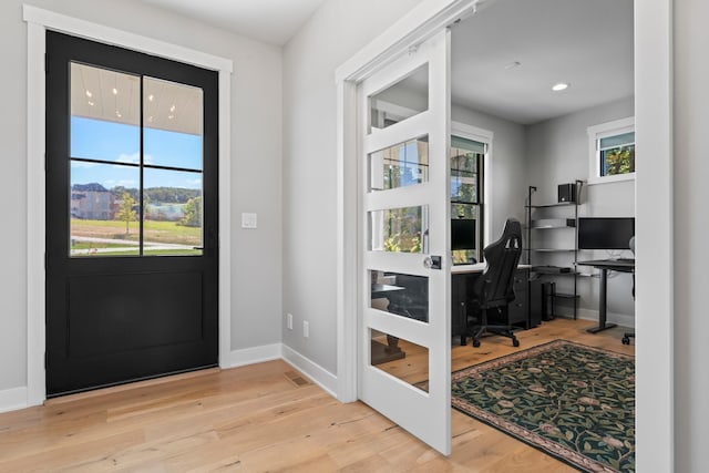 foyer featuring light hardwood / wood-style flooring and a wealth of natural light