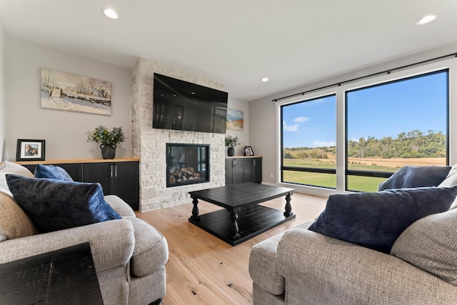 living room featuring a stone fireplace and light wood-type flooring