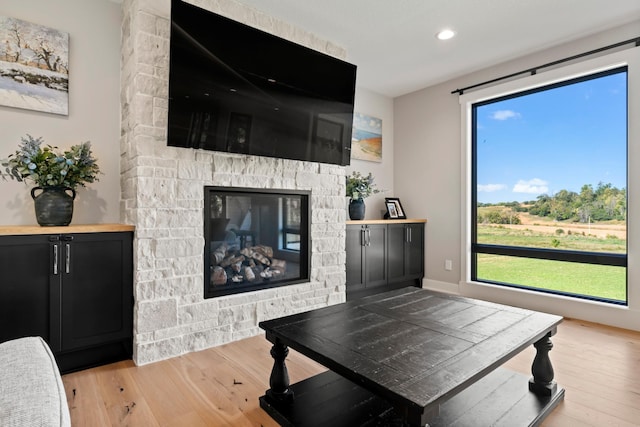 interior space featuring light hardwood / wood-style flooring, a fireplace, and a healthy amount of sunlight