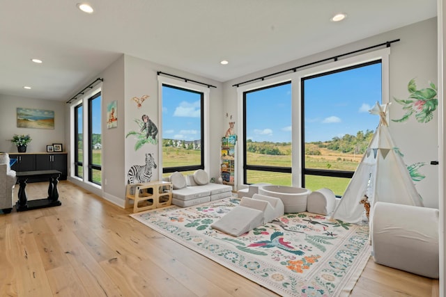 interior space with light hardwood / wood-style flooring and a wealth of natural light