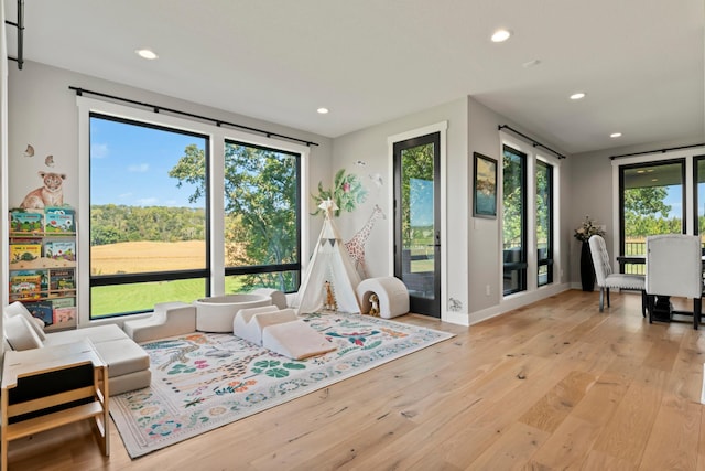 living room featuring light wood-type flooring