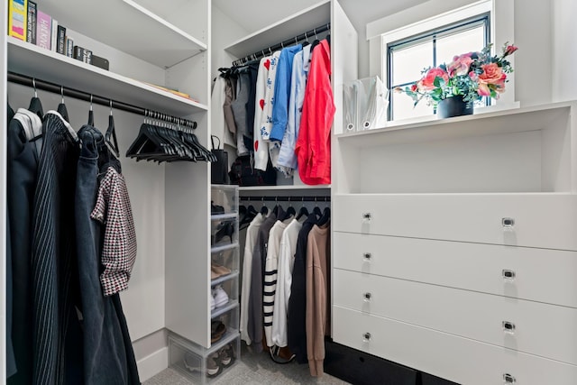 walk in closet with carpet floors