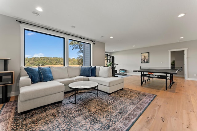 living room featuring hardwood / wood-style flooring