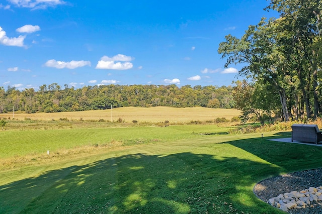 view of yard featuring a rural view