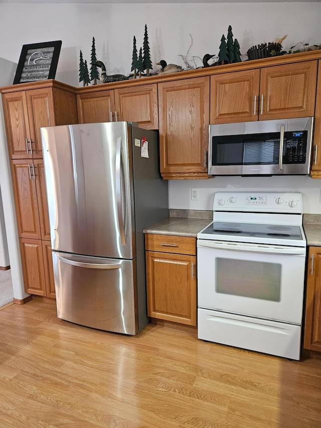 kitchen featuring light hardwood / wood-style flooring and stainless steel appliances