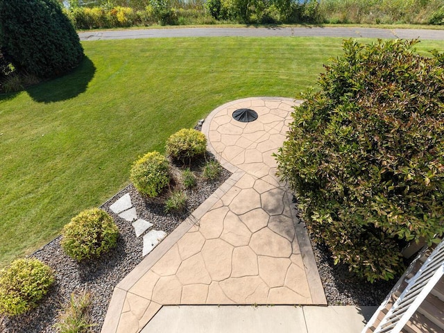 view of yard with a patio area