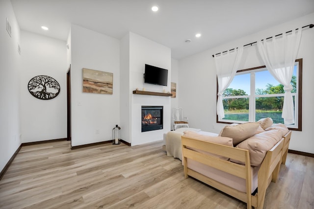 living room featuring light hardwood / wood-style flooring