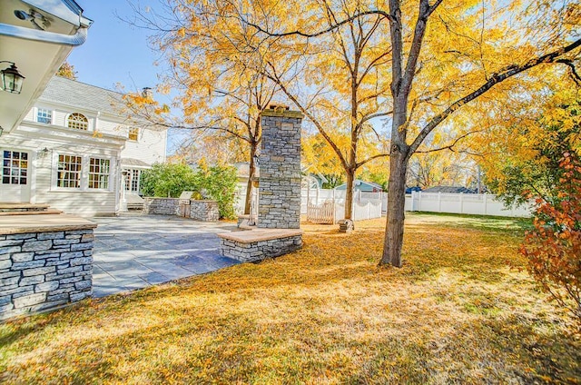 view of yard featuring a patio