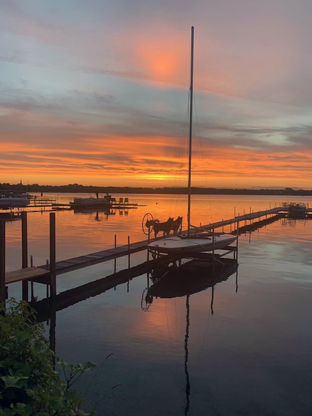 dock area with a water view