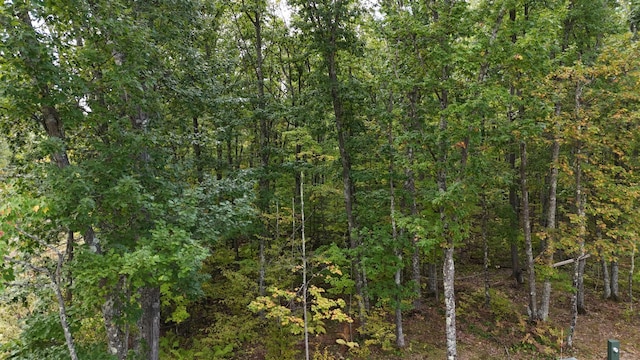 view of local wilderness