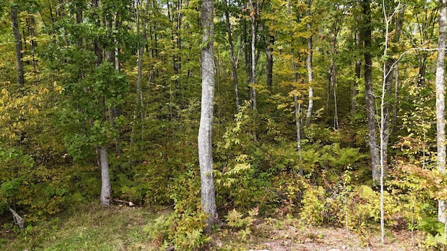 view of landscape