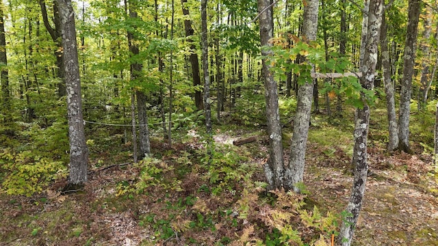 view of landscape