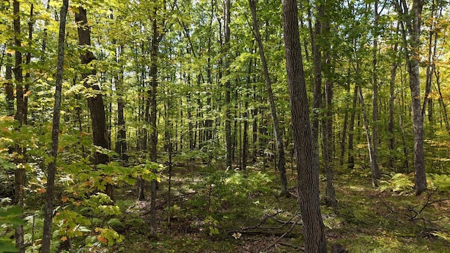 view of local wilderness