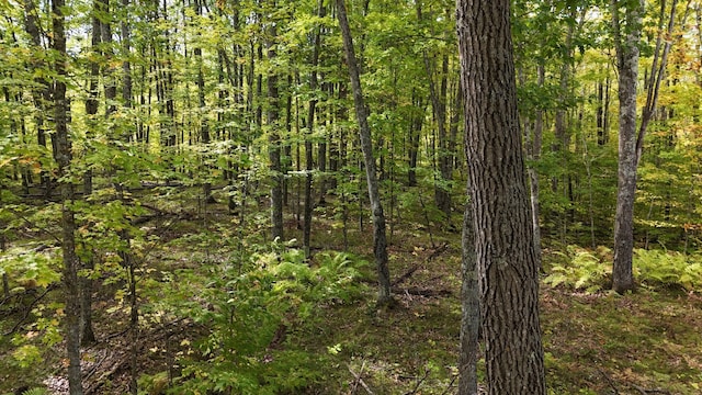 view of local wilderness