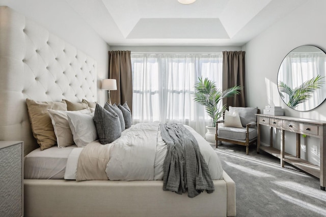 carpeted bedroom featuring a tray ceiling