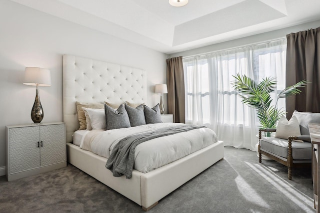 bedroom featuring a raised ceiling and dark colored carpet