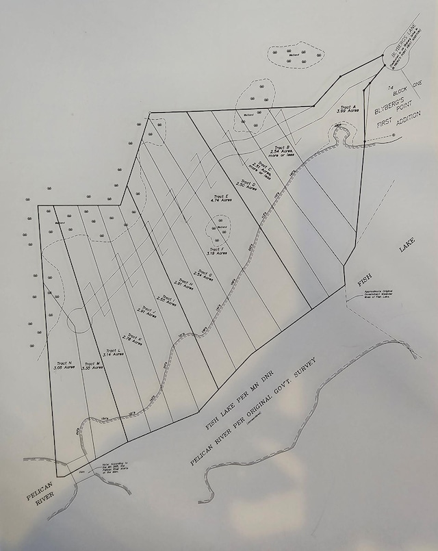 TRACTD Blybergs Ln, Pelican Rapids, MN 56572