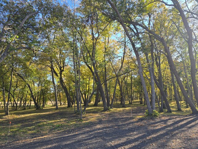 TRACTD Blybergs Ln, Pelican Rapids, MN 56572
