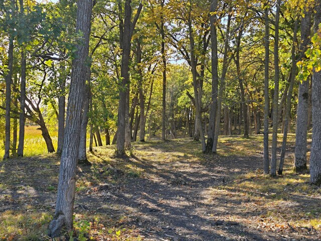 TRACTD Blybergs Ln, Pelican Rapids, MN 56572