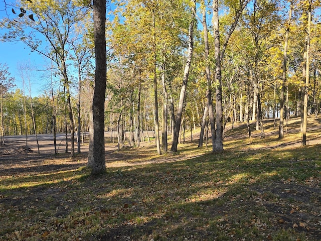 TRACTH Blybergs Ln, Pelican Rapids, MN 56572