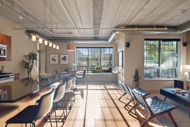 dining room featuring light wood-type flooring and a healthy amount of sunlight