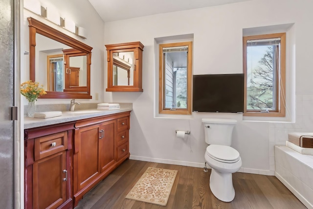 bathroom featuring hardwood / wood-style floors, vanity, and toilet