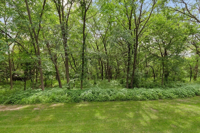 view of yard featuring a wooded view