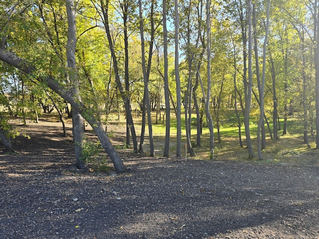 TRACTJ Blybergs Ln, Pelican Rapids, MN 56572