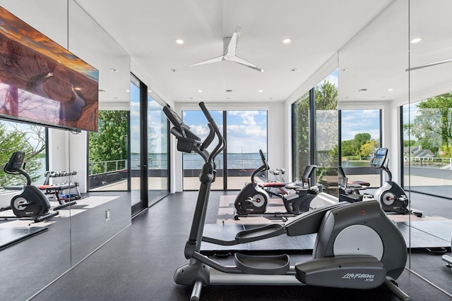 1225 Shoreline Dr, Orono, MN 55391 - gym featuring healthy amount of natural light, floor to ceiling windows, and a ceiling fan