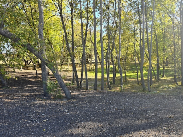 TRACTK Blybergs Ln, Pelican Rapids, MN 56572