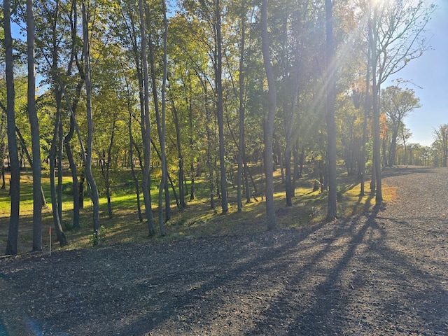 TRACTL Blybergs Ln, Pelican Rapids, MN 56572